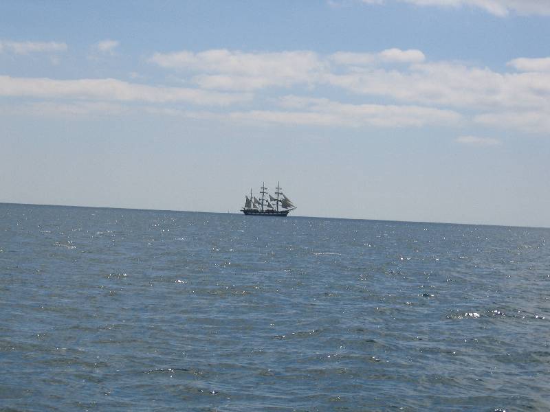 IMG_1299 Jeannie Johnson