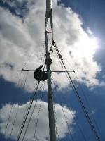 IMG_1269 Nads of Steel!