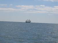 IMG_1299 Jeannie Johnson